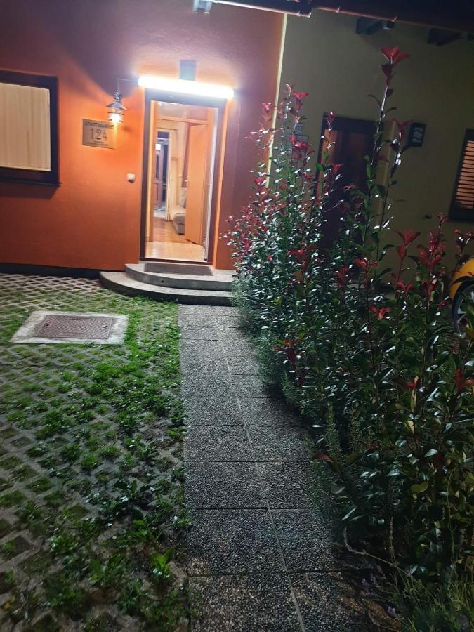 Terme Catez Apartma Nine Catez ob Savi Exterior photo